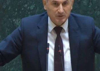 იყვირეთ ეხლა… იყვირეთ! –  წაქაძის და კირკიტაძის დაპირირება პარლამენტში ( ვიდეო)