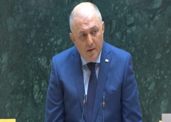 ბოროტად იყენებდნენ სიტყვისა და გამოხატვის თავისუფლების უფლებას – ლილუაშვილი მედიაზე