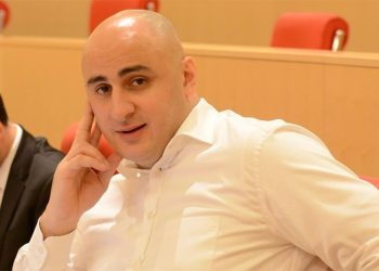 „მელიას არც პარლამენტში დაჯდომა უნდა და არც ჩხუბი, მას უბრალოდ კარგად ცხოვრება უნდა“ – რას უყვებიან “ალიას”