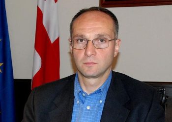 “უყურეთ პოლიციელებს? არ შეიძლება მქონდეს განცდა, რომ ესენი იცავენ წესრიგს” – მაჭავარიანი