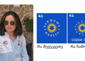 “მე და ჩემი ოჯახის 2012 წელს ვიბრძოდით სისტემის შესაცვლელად ოცნების ლურჯი მაისურებით…” – ნინი გოგაშვილი