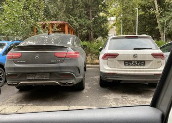 “ქართული ნომრების მოლოდინში ამდენი ნომრებმოხსნილი მანქანა… ემატება და ემატება…” – ფოტო