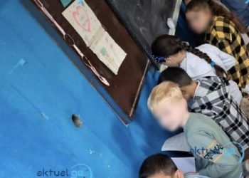 მარნეულის ერთ-ერთ სოფელში მასწავლებელმა მოსწავლეები მუხლებზე დაყენებით დასაჯა