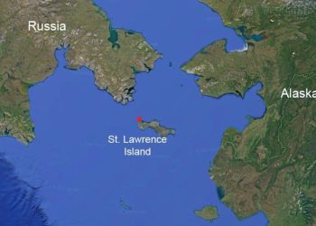 ,, 2 რუსი ნავით გაიპარა ამერიკაში მობილიზაციის თავიდან ასარიდებლად!” – რა ისტორიაზე წერს ნიკო მიქაია