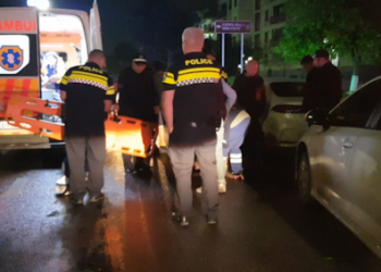 რუსთავში პიტბულმა 4 ადამიანი დაგლიჯა