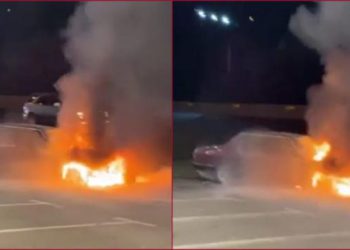 აღმაშენებლის ხეივანზე მანქანა დაიწვა