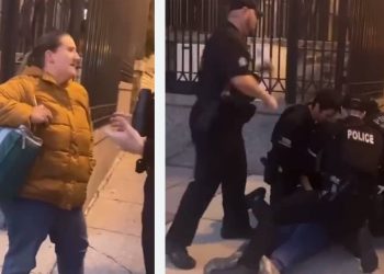 (ვიდეო) – “ამერიკა, აგორავეს ღორივით, იმედია რასიაში დარეპორტებას არ აცდება” – დალაქიშვილი