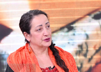 “პორკეეე, მთავრობა, პორკეეე” – ანა მიქაძე