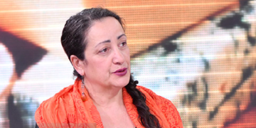 “პორკეეე, მთავრობა, პორკეეე” – ანა მიქაძე