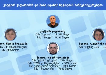ჯაფარიძის და მისი ოჯახის ბიზნესინტერესები – 11 კომპანია და 8 მილიონამდე ლარი სახელმწიფო შესყიდვებიდან – TI