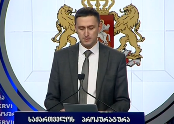 ვაკის პარკის  ტრაგედიის საქმეზე დაკავებულ 9 პირს ბრალდება წარედგინა