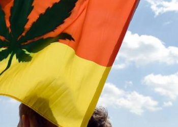 გერმანიის მთავრობამ მარიხუანას ლეგალიზაციის გეგმა შეათანხმა