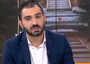 “შადრევანი დატესტილიც იყო და დაექსპერტებულიც” – მერიის გარემოს დაცვის სამსახურის უფროსის კომენტარი