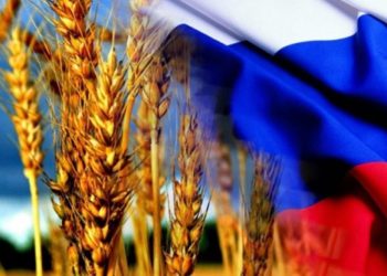 რუსეთის საექსპორტო ბაჟი ხორბალზე იზრდება, წისქვილკომბინატები დახურვის საფრთხის წინაშე არიან – სილაგავა