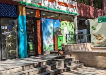 “SOS! გადაამოწმეთ ძიძები! ბავშვს სახე დასიებოდა… იქნებ ამ ლოკაციით ამოიცნოთ” – ლელა შეიზაშვილი