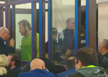 ვაკის პარკის ტრაგედიის გამო დაკავებულების პროცესი დაიწყო – დეტალები