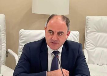 დავით ნარმანიამ დარგობრივი ეკონომიკისა და ეკონომიკური პოლიტიკის კომიტეტში სემეკის 2021 წლის ანგარიში წარადგინა