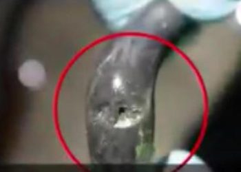 რა კადრები გაავრცელა პროკურატურამ ვაკის პარკის ტრაგედიის საქმეზე? (სრული ჩანაწერი)