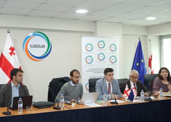 სემეკის წევრი გიორგი ფანგანი „თვინინგ ლაითის“ მმართველი კომიტეტის სხდომაზე სიტყვით წარდგა