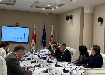 დავით ნარმანიამ ადამიანის უფლებათა დაცვისა და სამოქალაქო ინტეგრაციის კომიტეტში სემეკის 2021 წლის ანგარიში წარადგინა