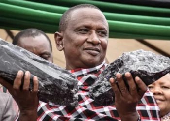 როგორ იშოვა ტანზანიელმა კაცმა ერთ დღეში მილიარდები