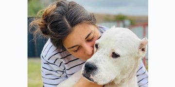 “აშიმშილებენ, სცემენ და ვიღებთ იმას რომ პიტბული ვითომ “მკვლელი” ძაღლია” – ტასო ლოსაბერიძე