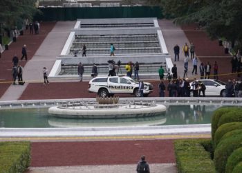 რა იპოვა “ალიამ” ვაკის პარკში მომხდარი ტრაგედიის საქმეში? – ჟურნალისტური გამოძიება