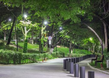 მზიურის პარკს დაახლოებთ ორი ჰექტარი ტერიტორია დაუბრუნდა