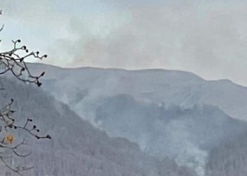 ლაგოდეხისა და პანკისის ხეობის მთებში ცეცხლი გაჩნდა