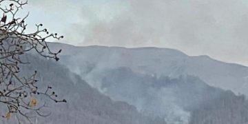 ლაგოდეხისა და პანკისის ხეობის მთებში ცეცხლი გაჩნდა