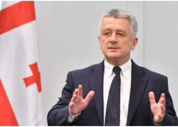 “ენმ” საშიში პარტიაა… მაგთიკომს ვმართავდი, ერთხელ ოფისში დამიბარეს…” – დევიდ ლი