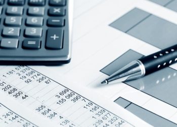 “ბიუჯეტი არ შეიძლება იყოს სურვილების დოკუმენტი, რომელზეც ოცნებებს ჩამოვწერთ” – მარი ლიპარტელიანი