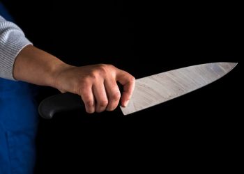 სამწლიანი პაუზის შემდეგ, პარლამენტი „იარაღის შესახებ“ კანონს დაუბრუნდა