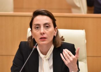 მე, ქალს, რომელიც ძალადობის მსხვერპლი ვყოფილვარ, მიმაჩნია, რომ საქართველოში ყველა მეორე ქალი ძალადობის მსხვერპლია – ხატია დეკანოიძე