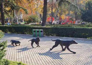 „ამ ერთი ძეგლის ფასად მინიმუმ ორ ბინას იყიდდი და ორ უსახლკარო ოჯახს შეასახლებდი!“ – ლადო სადღობელაშვილი