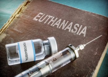 „საკუთარ, უმწარეს გამოცდილებას მოგიყვებით…არჩი აღარ გვყავს… მივიღეთ მისი „დაძინების“ გადაწყვეტლება… არავის ვუსურვებ იმას, რაც ჩვენ გავიარეთ“ – ანი გაგუა