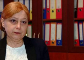 “სისულელის საუბარი ადაპტაციის დარღვევაზე – პროფანაციაა, დაელოდეთ ექსპერტიზას” – ჯიშკარიანი