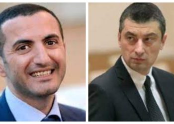 „ხომ ხედავთ, ქვის საჭრელი კეზერაშვილის საკუთრებაა, ნუშის პლანტაციები – გახარიასი, საძოვრები კი – ეგვიპტელი არაბების“ – როგორ იყიდება ისტორიული სოფლები?!