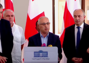 “გვარამიას და სააკაშვილის შეწყალებით გაირკვევა, ჩადგა თუ არა ზურაბიშვილი უცხო ქვეყნის სამსახურში” – “ხალხის ძალა”