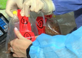 თბილისში ხორცპროდუქტებში ცხენისა და ვირის ხორცი აღმოაჩინეს