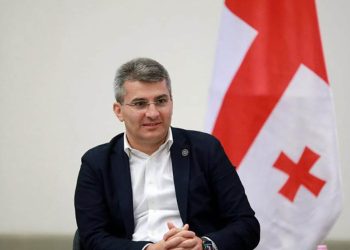 “შემდეგ დასკვნაში იქნება, ალბათ, ჩაის და ვარდების შესახებ ჩანაწერი” – მდინარაძე