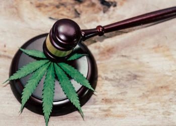 2022-ში გამართლა პირი, რომელსაც 2011-ში მარიხუანა ჩაუდეს და 3 წელი მიუსაჯეს – საია