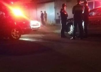 “რუსეთის მოქალაქემ ჩემ არასრულწლოვან შვილზე იძალადა…” – მარი აბაკელია