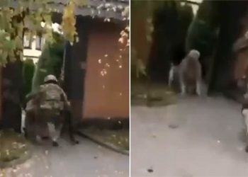 ემოციური კადრები – ბებია მუხლმოყრილი ეგებება შვილიშვილს