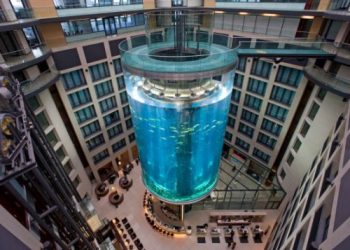 ბერლინში სასტუმრო Radisson Blu-ში უზარმაზარი აკვარიუმი, სახელად AquaDom გასკდა