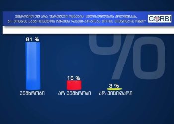 ემხრობით თუ არა „ოცნების“ პოლიტიკას, არ ჩაერთოს საქართველო რუსეთ-უკრაინას შორის ომში