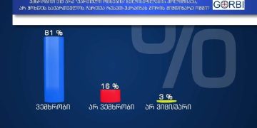 ემხრობით თუ არა „ოცნების“ პოლიტიკას, არ ჩაერთოს საქართველო რუსეთ-უკრაინას შორის ომში