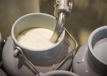 დაკავებულია ორი პირი, რომელიც ვადაგასულ რძის პროდუქტებს ყიდდა