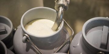 დაკავებულია ორი პირი, რომელიც ვადაგასულ რძის პროდუქტებს ყიდდა