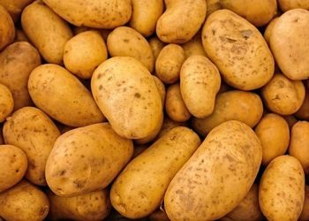 „ასეთი თეთრლაქებიანი კარტოფილი, ტონობით უკან ბრუნდება ირანსა და თურქეთში, მაგრამ ასევე ათეულობით ტონა მაინც შემოდის“